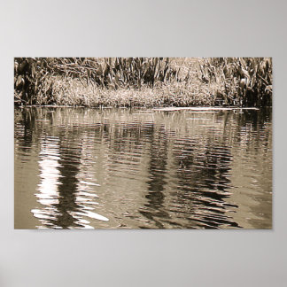 Póster Pond Sepia Photograph