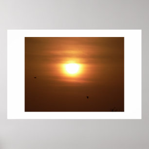 Póster Poner sol.