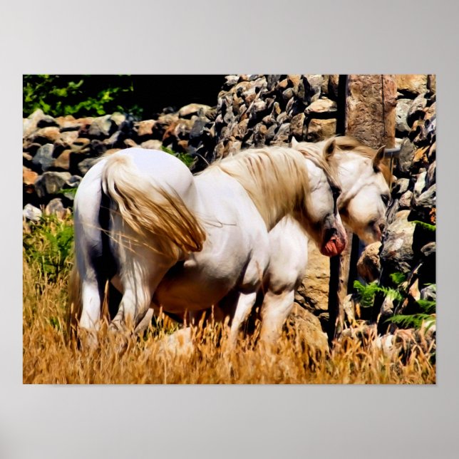 PÓSTER PONES (Frente)