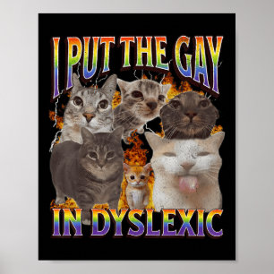 Póster Pongo el gay en Dyslexic divertido meme de gato Bo