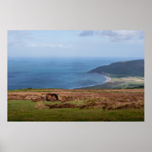 Póster Poni Exmoor sobre Porlock Weir