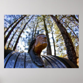 Póster Pontiac Indian Hood Ornament