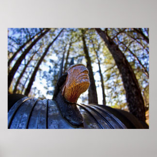 Póster Pontiac Indian Hood Ornament (Brighter)