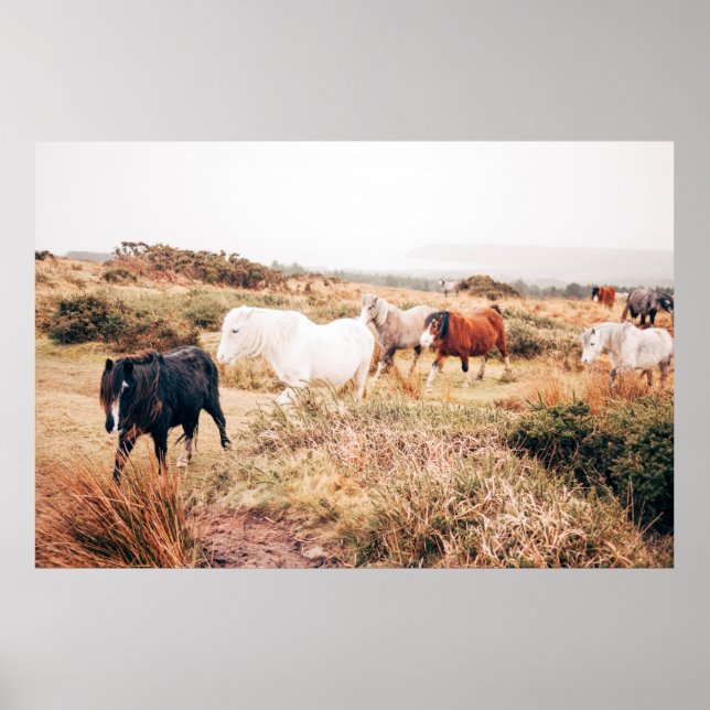 PÓSTER PONY HERD EN EL OTOÑO (Frente)