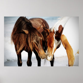 Póster Pony Love
