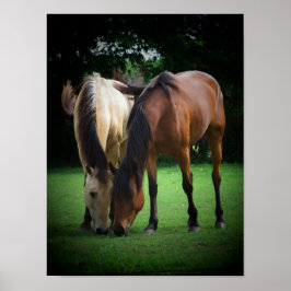 Póster Pony Love Poster