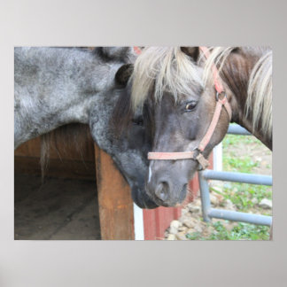Póster Pony Nuzzle