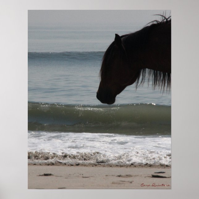 Póster Pony On The Beach Poster (Frente)