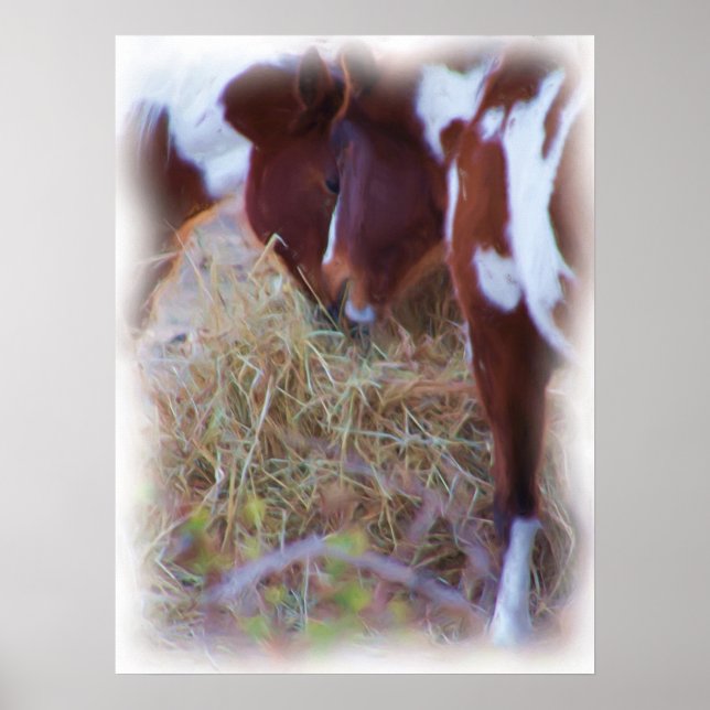 Póster Pony Poster (Frente)