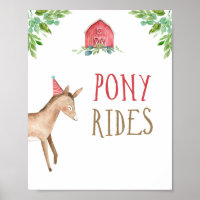 Pony Rides Farm Animals Barnyard Boy Cumpleaños
