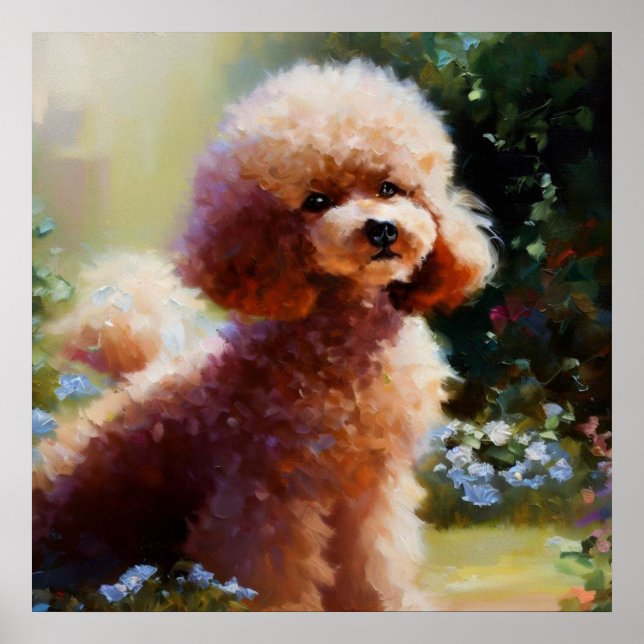 Póster Poodle (Frente)