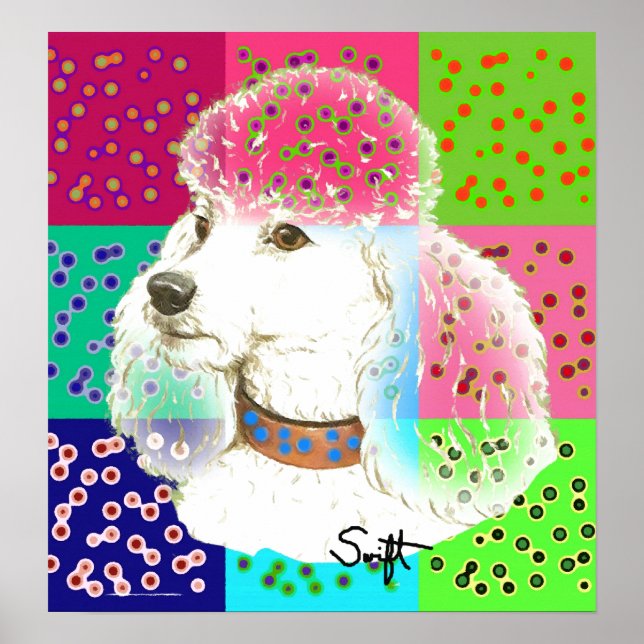 Póster Poodle (Frente)