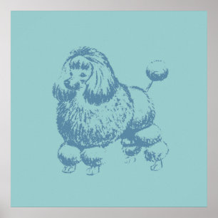 Póster Poodle