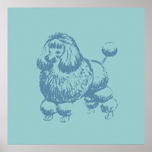Póster Poodle (Frente)