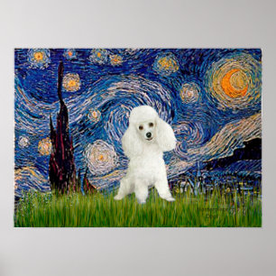 Póster Poodle (14W) - Noche estrellada