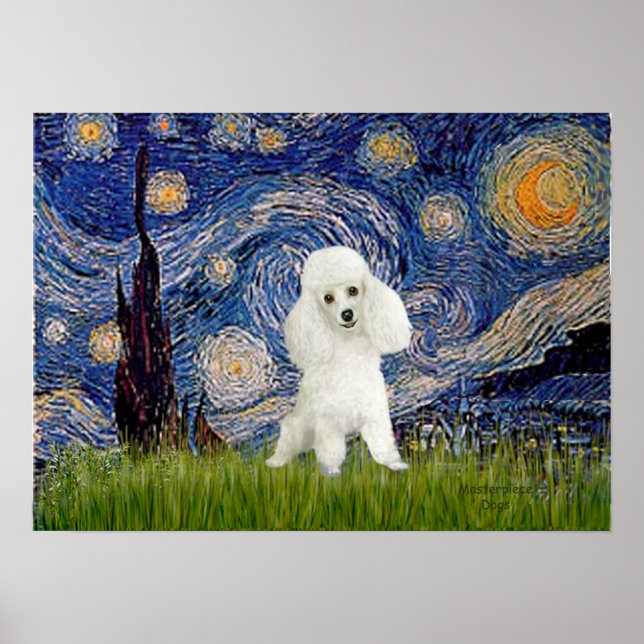 Póster Poodle (14W) - Noche estrellada (Frente)