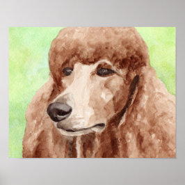 Póster Poodle acuarela