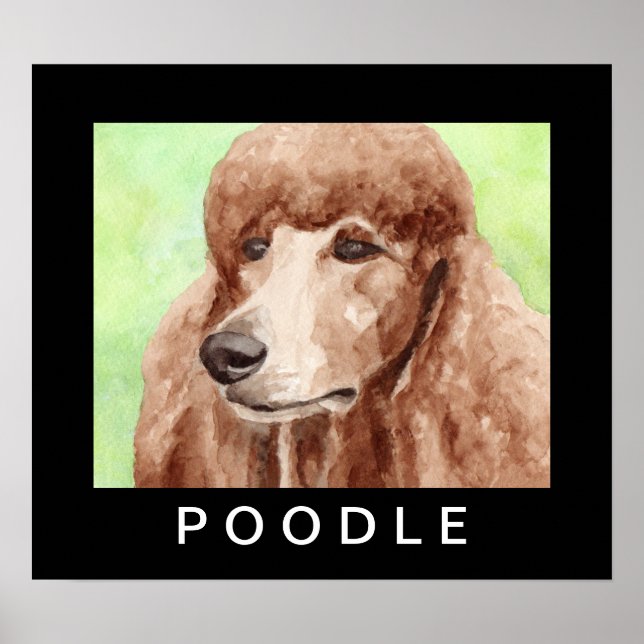 Póster Poodle acuarela (Frente)