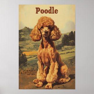 Póster Poodle Dog Vintage Art