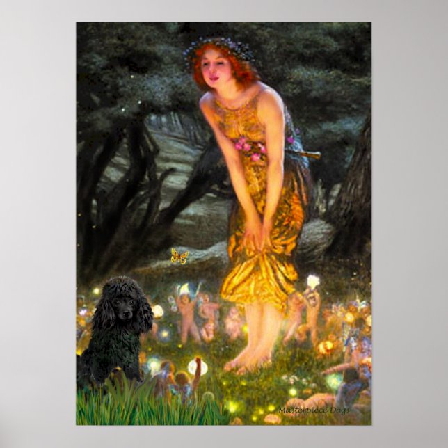 Póster Poodle(negro 1)-Mediana de la Noche (Frente)