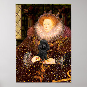 Póster Poodle (negro 1) - Reina