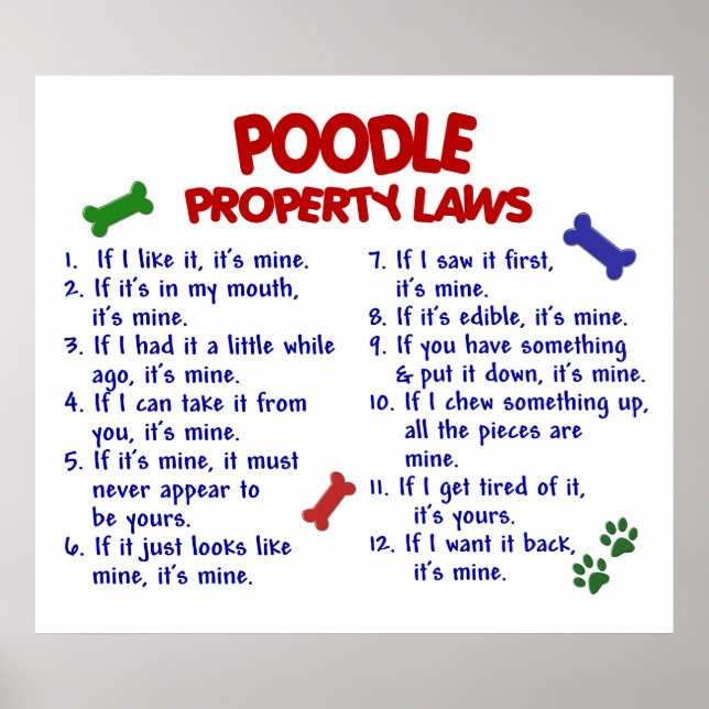 PÓSTER POODLE PL2 (Frente)