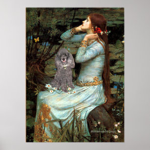 Póster Poodle (Plata 8) - Ophelia Sentada