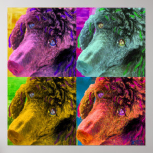 Póster Poodle Pop Art Colorous Style
