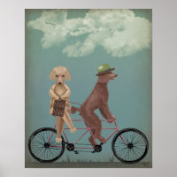 Poodle Tandem