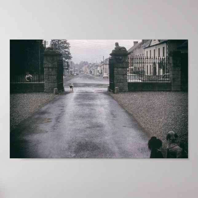 Póster Poodles Vintage Inspired Town Cute Poodle Dog (Frente)