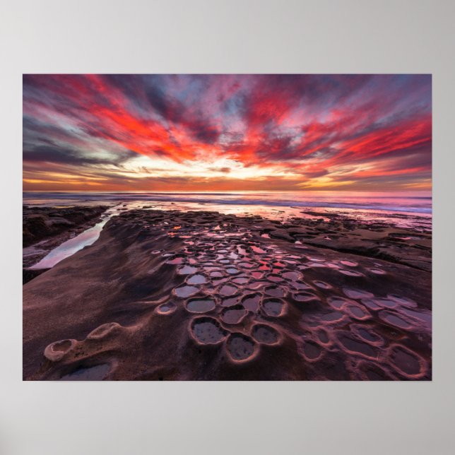 Póster Pools de marea en La Jolla, CA (Frente)