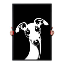 Pop Art Adorable Galgo Italiano Blanco y Negro