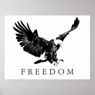 Póster Pop Art Black White Freedom Eagle Landing Poster