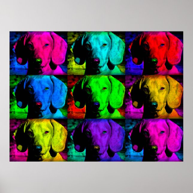 Póster Pop Art Dachshund Doxie Swee Face Soulful Eyes (Frente)