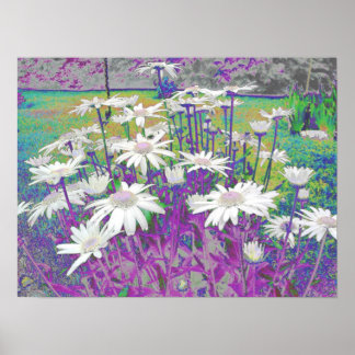 Póster Pop Art Daisies