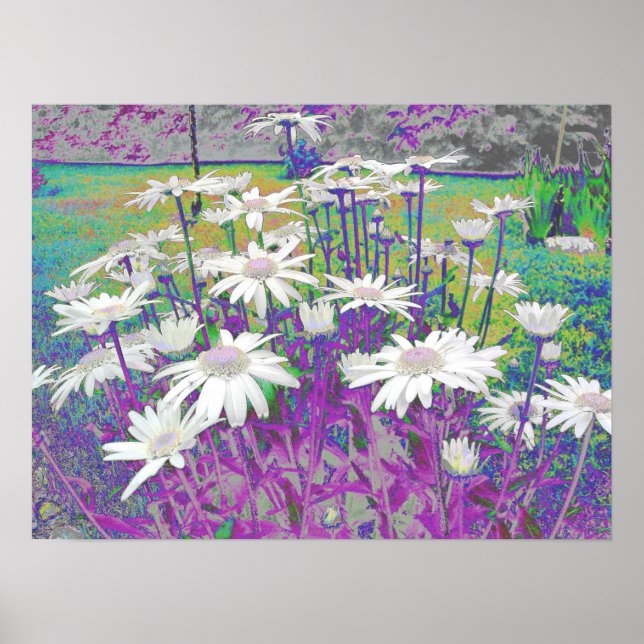 Póster Pop Art Daisies (Frente)
