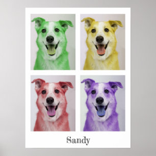 Póster Pop Art Sandy