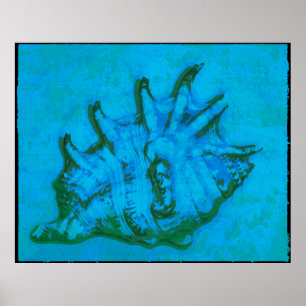 Póster Pop Conch