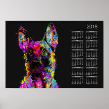 Popa malinois-pastor belga —Maligator