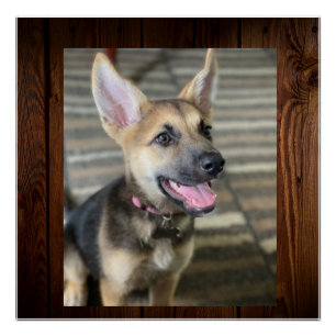 Póster Popas de Atenas