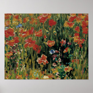 Póster Poppies
