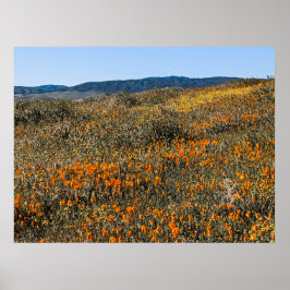 Póster Poppies de California - Paisaje 2
