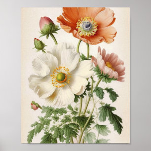 Póster Poppies de época