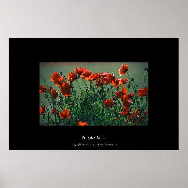 Póster Poppies Nº 3 | Gran Poster (Frente)