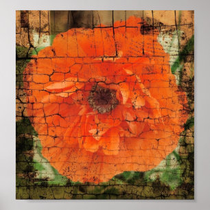 Póster Poppy Crackle