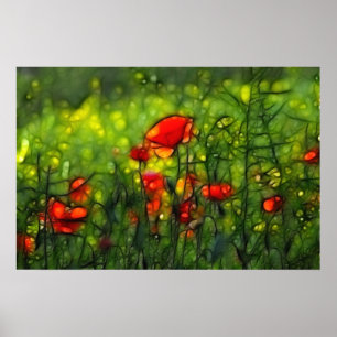 Póster Poppy field