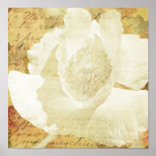 Póster Poppy Marie (Frente)