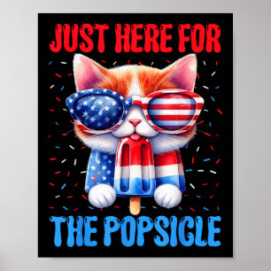 Póster Popsicle 4 De Julio Cat Estadounidense Bandera Pat