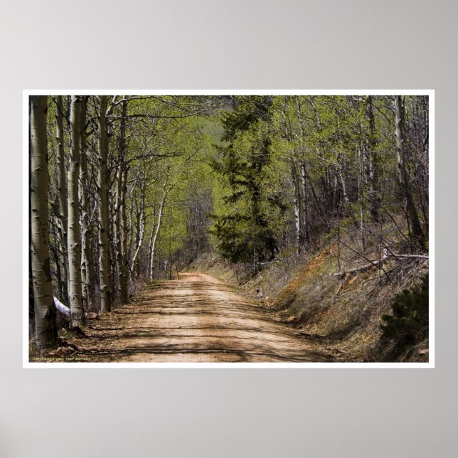 Póster Por el camino (Frente)