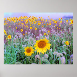 Póster Por la mañana, imprimir